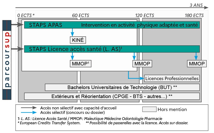 Schéma de progression mention APAS