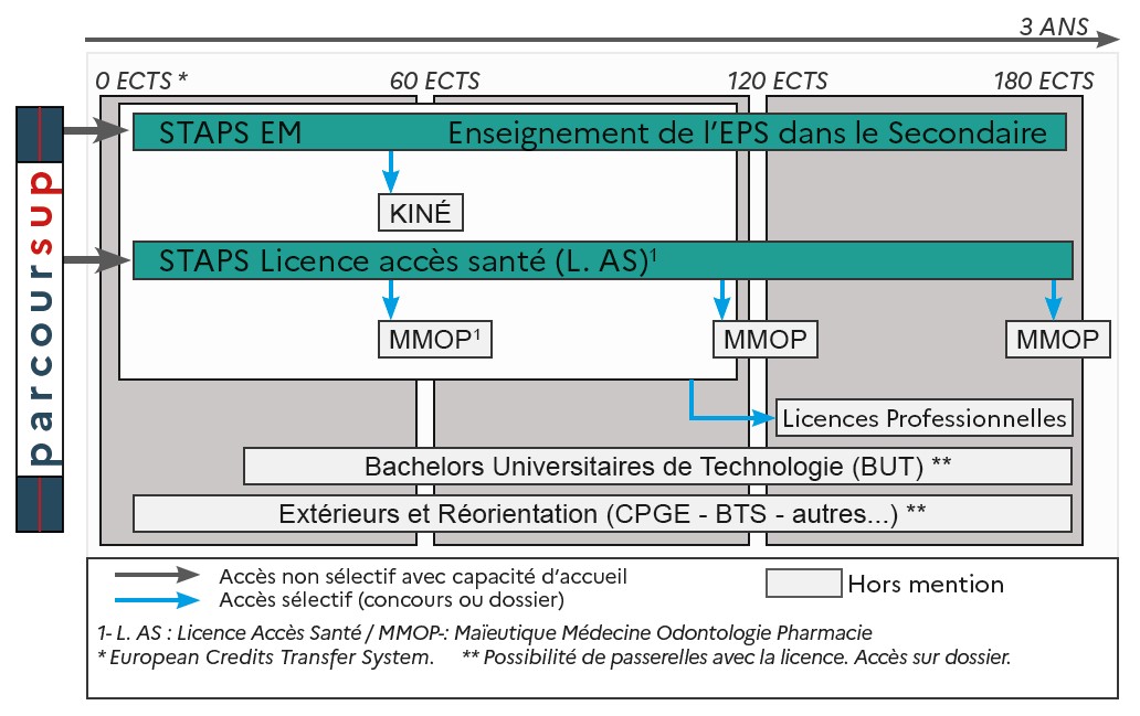 Schema mention EM