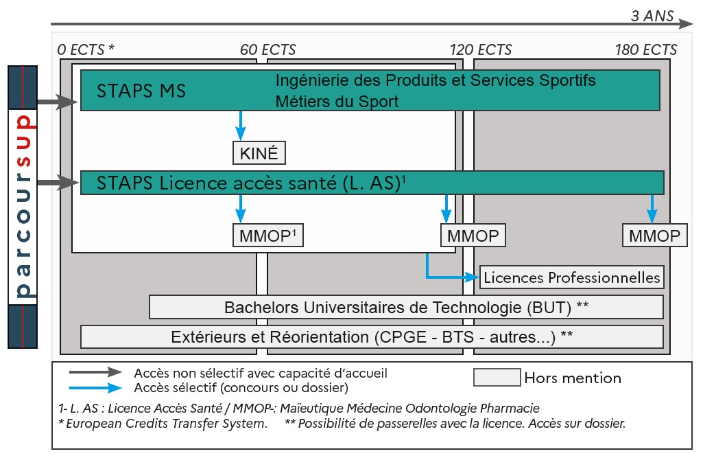 Schema mention MS